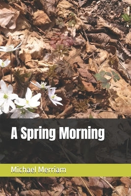 A Spring Morning by Merriam, Michael