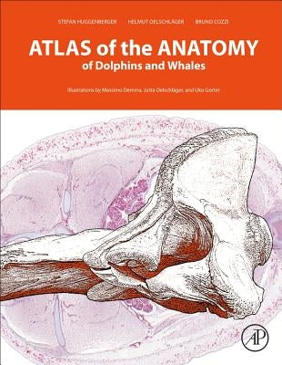Atlas of the Anatomy of Dolphins and Whales by Huggenberger, Stefan