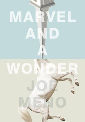 Marvel and a Wonder by Meno, Joe