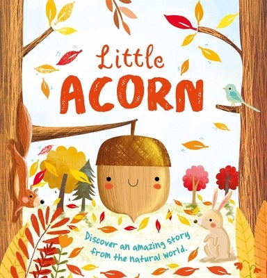 Nature Stories: Little Acorn: Padded Board Book by Igloobooks
