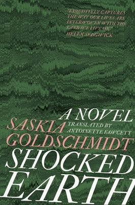 Shocked Earth by Goldschmidt, Saskia