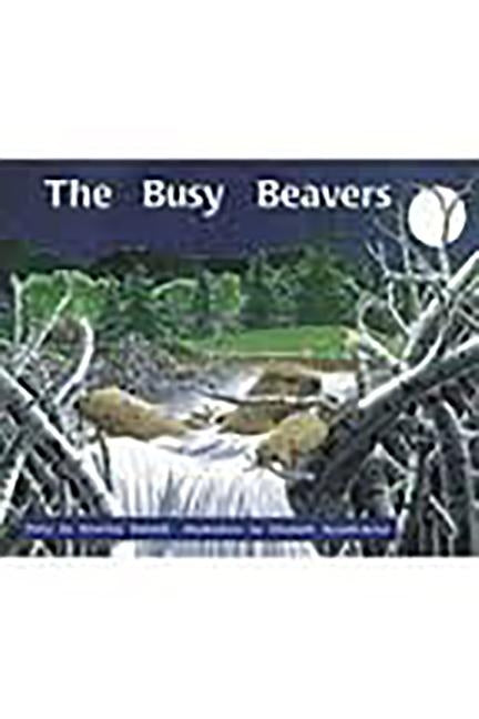 The Busy Beavers: Individual Student Edition Orange (Levels 15-16) by Rigby