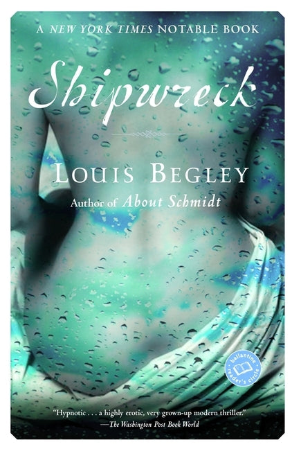 Shipwreck by Begley, Louis