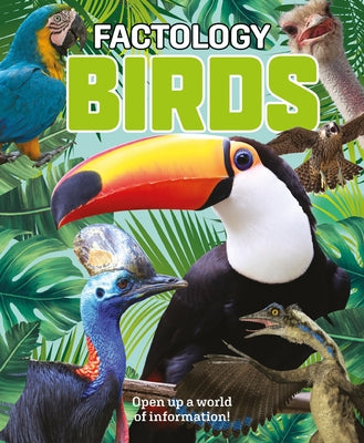 Factology: Birds: Open Up a World of Information! by
