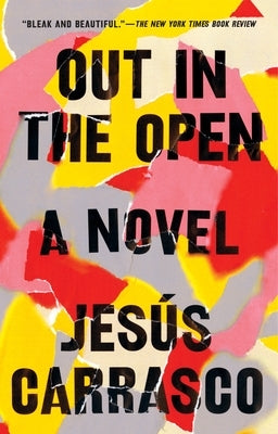 Out in the Open by Carrasco, Jesús