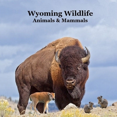 Wyoming Animals and Mammals Wildlife Book: Great Wyoming Animals book with Lifelike Images and Fun Facts by Marie, Kinsey