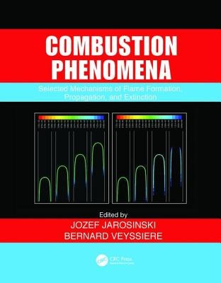 Combustion Phenomena: Selected Mechanisms of Flame Formation, Propagation and Extinction by Jarosinski, Jozef