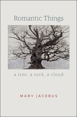 Romantic Things: A Tree, a Rock, a Cloud by Jacobus, Mary