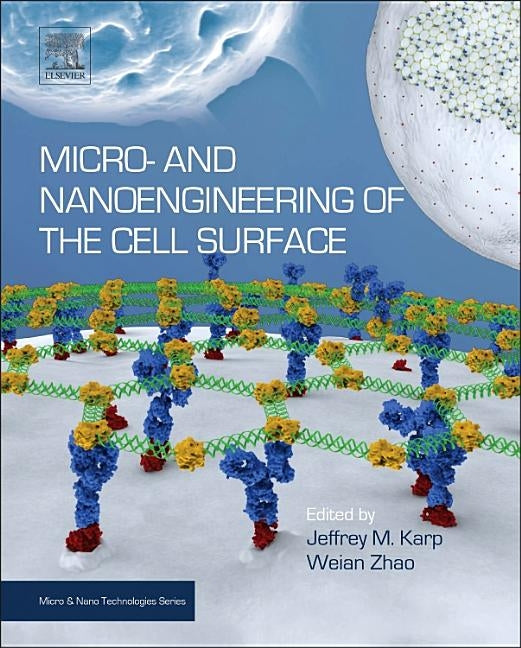 Micro- And Nanoengineering of the Cell Surface by Karp, Jeffrey M.