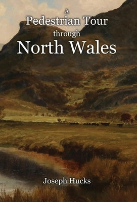 A Pedestrian Tour through North Wales in a Series of Letters by Hucks, Joseph
