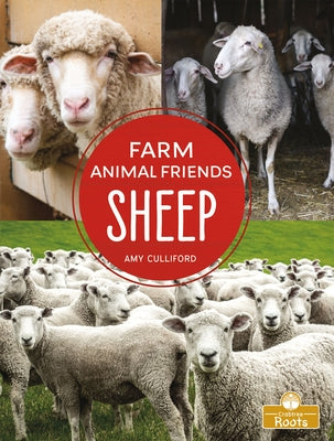 Sheep by Culliford, Amy