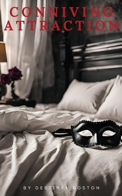 Conniving Attraction by Boston, Destinee