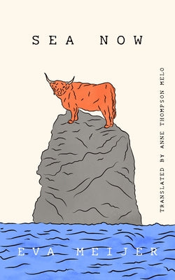 Sea Now by Meijer, Eva