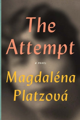 The Attempt by Platzová, Magdaléna