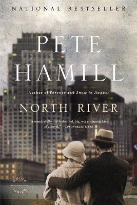 North River by Hamill, Pete