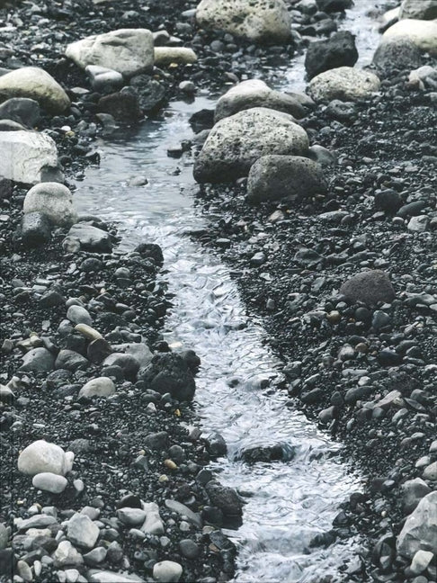 Riverbed: Olafur Eliasson at Louisiana by Eliasson, Olafur