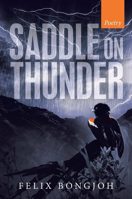 Saddle on Thunder by Bongjoh, Felix