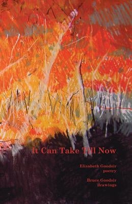It Can Take Till Now by Goodsir, Elizabeth