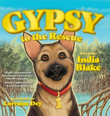 Gypsy to the Rescue by Blake, India