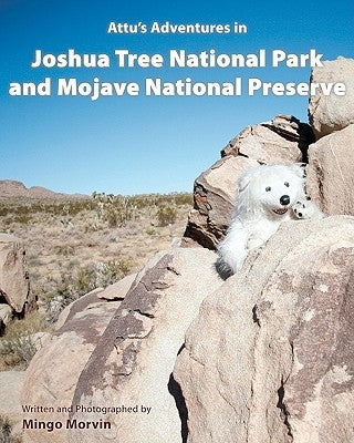 Attu's Adventures in Joshua Tree National Park and Mojave National Preserve by Morvin, Mingo