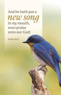 General Worship Bulletin: He Hath Put (Package of 100): Psalm 40:3 (Kjv) by Broadman Church Supplies Staff