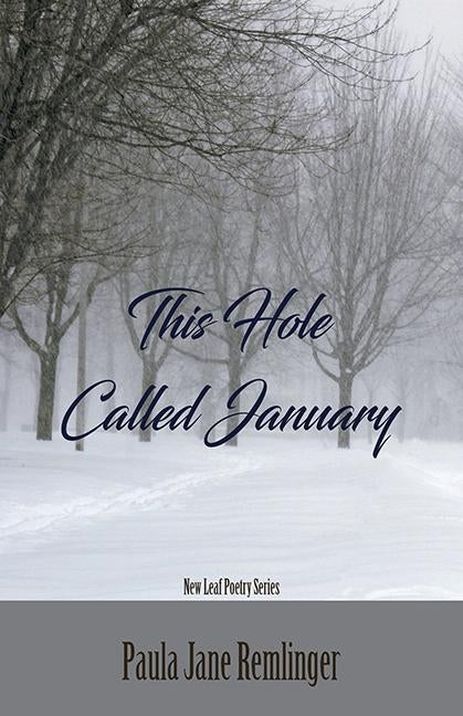 This Hole Called January by Remlinger, Paula Jane