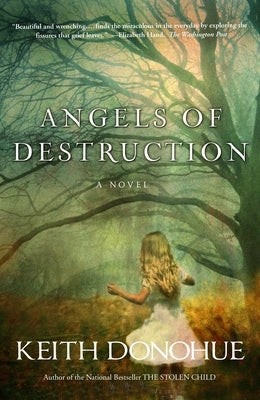 Angels of Destruction by Donohue, Keith