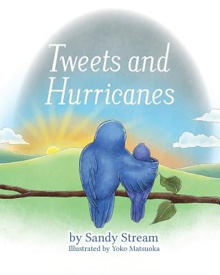 Tweets and Hurricanes by Stream, Sandy