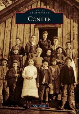 Conifer by Steinle, John
