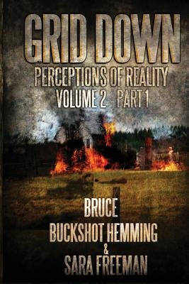 Grid Down Perceptions Of Reality Vol 2 Book 1: Vol 2 Book 1 by Freeman, Sara