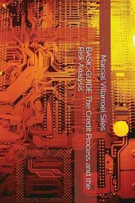 Basic Guide the Credit Process and the Risk Analysis by Villarroel Siles, Marcial