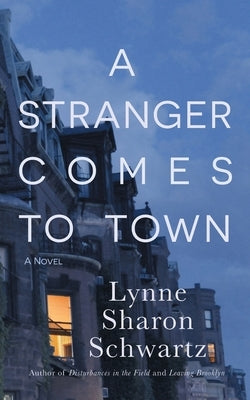 A Stranger Comes to Town by Schwartz, Lynne Sharon