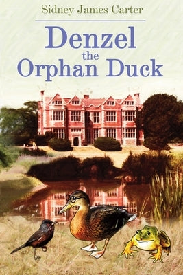 Denzel The Orphan Duck by Carter, Sidney James