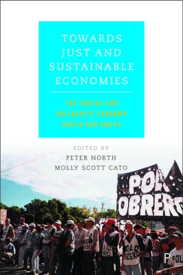 Towards Just and Sustainable Economies: The Social and Solidarity Economy North and South by Dinerstein, Ana Cecilia