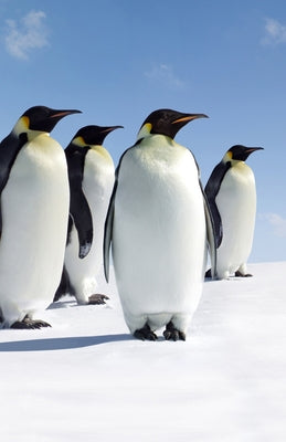 Penguins Blank Journal by