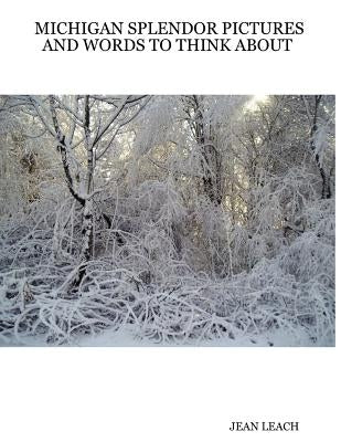 Michigan Splendor Pictures and Words to Think about by Leach, Jean