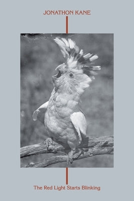 The Red Light Starts Blinking by Kane, Jonathon