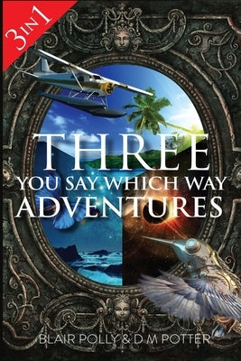 Three You Say Which Way Adventures by Potter, DM