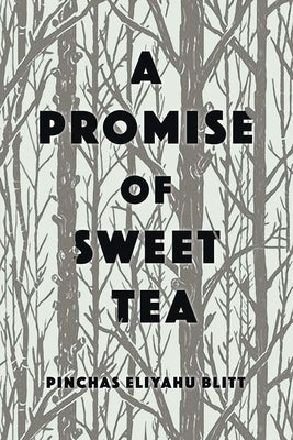A Promise of Sweet Tea by Blitt, Pinchas