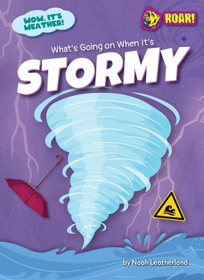 What's Going on When It's Stormy by Leatherland, Noah