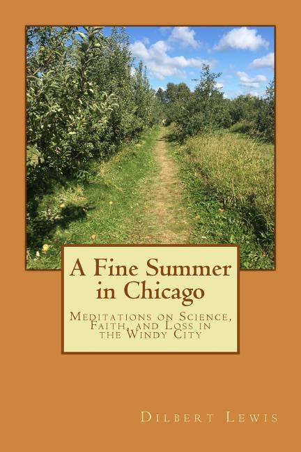 A Fine Summer in Chicago by Lewis, Dilbert