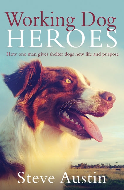 Working Dog Heroes by Austin, Steve