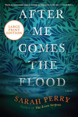 After Me Comes the Flood by Perry, Sarah