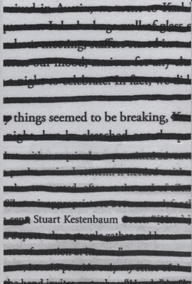 Things Seemed to Be Breaking by Kestenbaum, Stuart