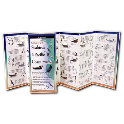 Sibley's Seabirds of the Pacific Coast by Sibley, David