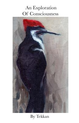 An Exploration of Consciousness by Tekkan