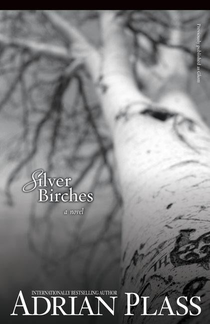 Silver Birches by Plass, Adrian