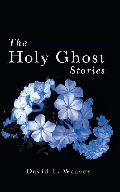 The Holy Ghost Stories by Weaver, David E.