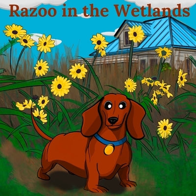 Razoo in the Wetlands by Garcia, Jesus R.