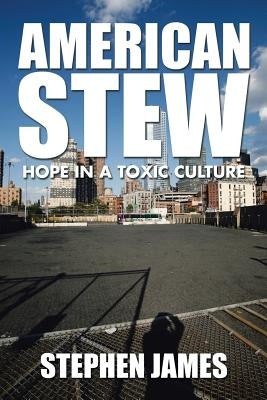 American Stew: Hope in a Toxic Culture by James, Stephen